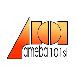 AMEBA 101 - METALMADRID 2019